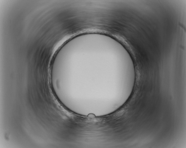 X0000101651286200807100931