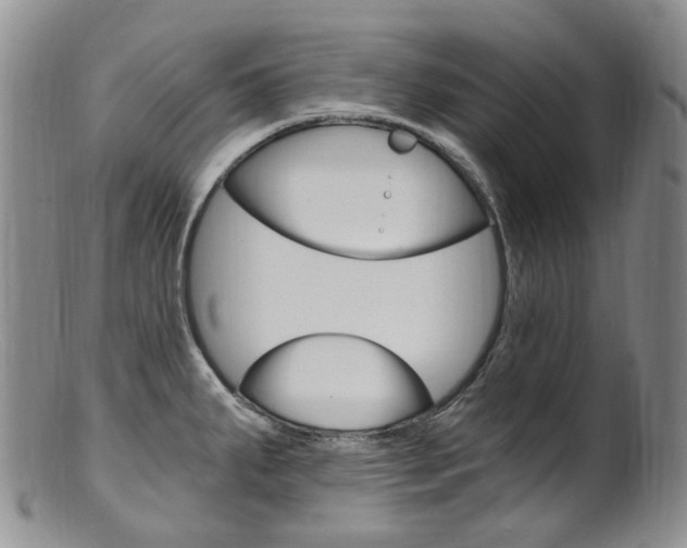 X0000101651287200807100931