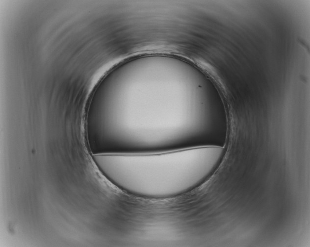 X0000101651288200807100931