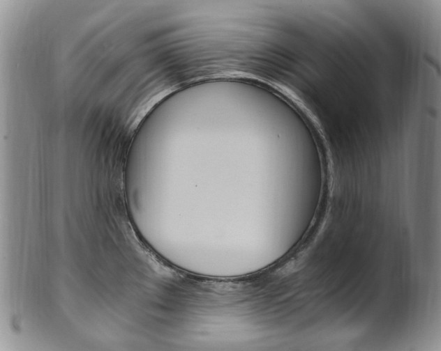 X0000101651289200807100931