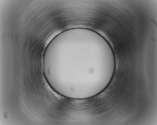 X0000101651290200807100931
