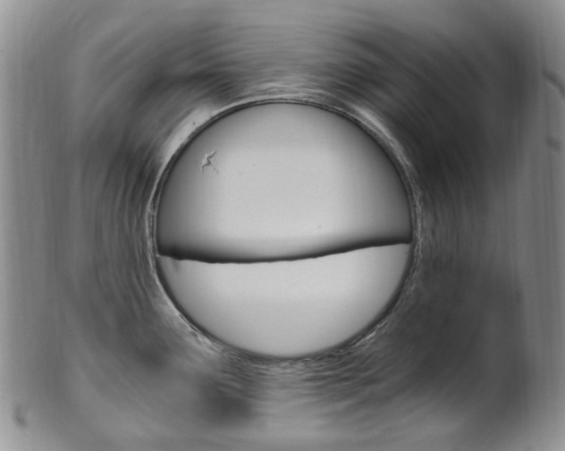 X0000101651291200807100931