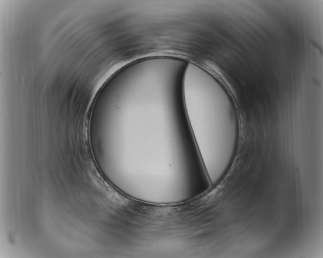 X0000101651292200807100931