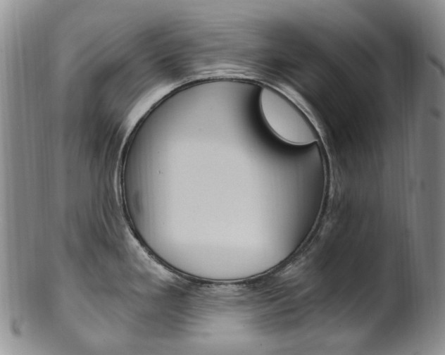 X0000101651293200807100931