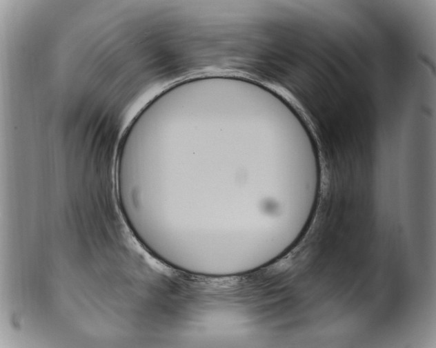 X0000101651294200807100931