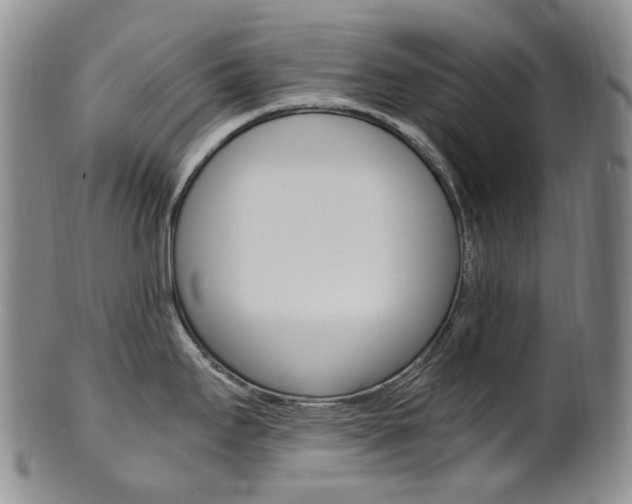 X0000101651295200807100931