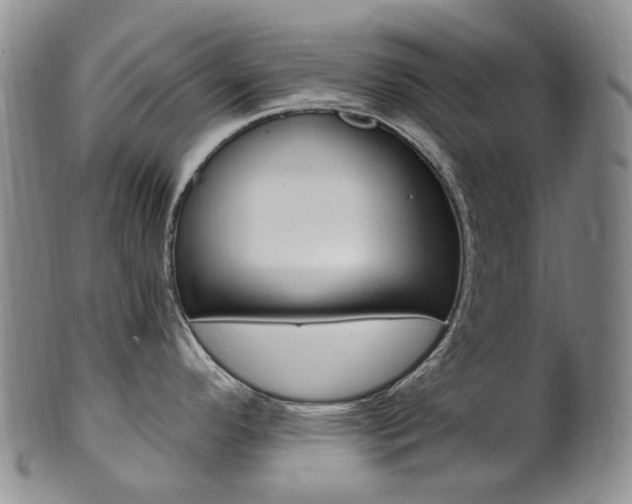 X0000101651296200807100931