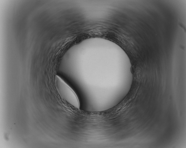 X0000101651297200807100930