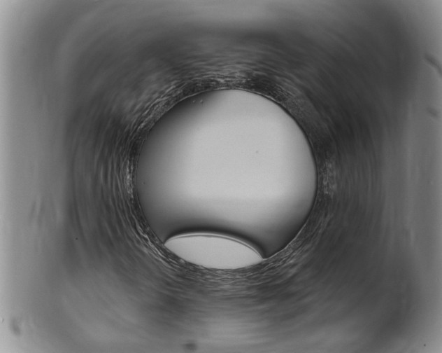 X0000101651298200807100930