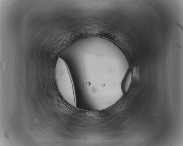 X0000101651299200807100930
