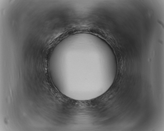 X0000101651301200807100930