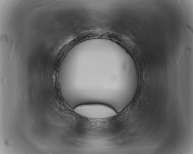 X0000101651302200807100930