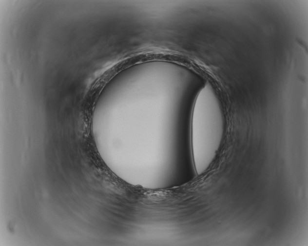 X0000101651303200807100930