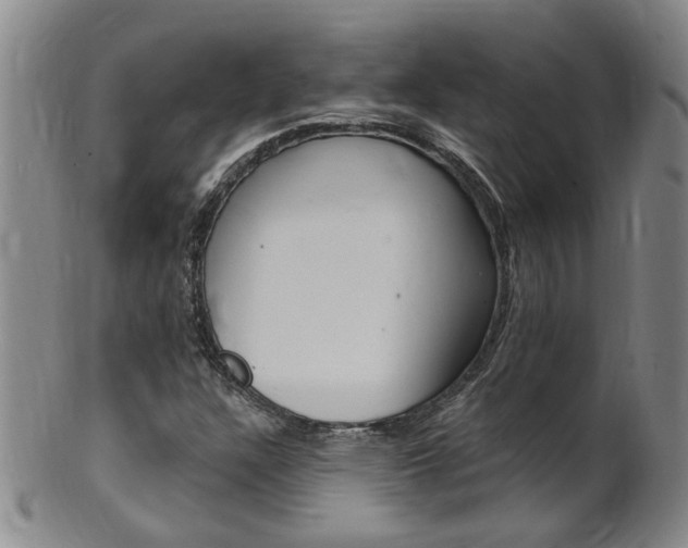 X0000101651304200807100930