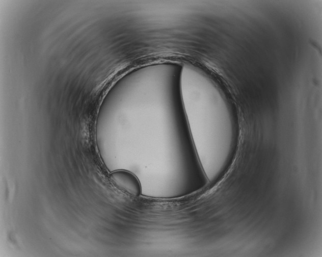 X0000101651305200807100930