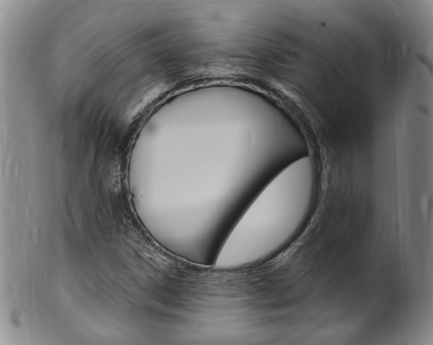 X0000101651306200807100930