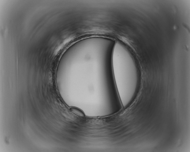 X0000101651307200807100930