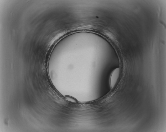 X0000101651308200807100930