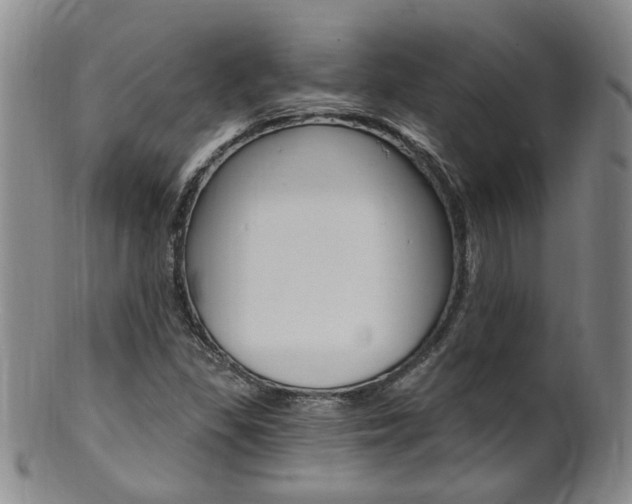 X0000101651309200807100930