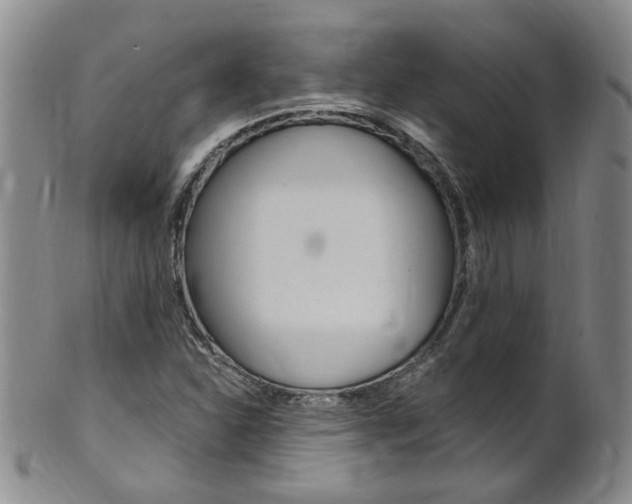 X0000101651310200807100930