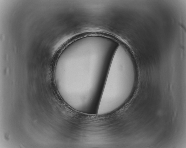 X0000101651311200807100930