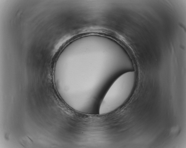 X0000101651312200807100930