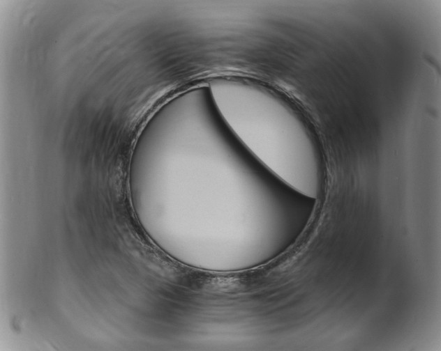 X0000101651313200807100930