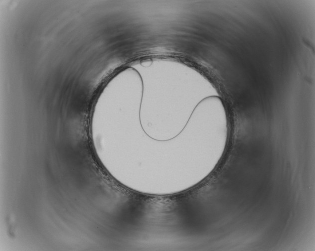 X0000101651314200807100930