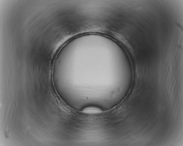 X0000101651316200807100930