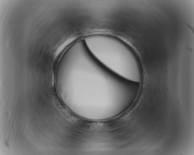 X0000101651317200807100931