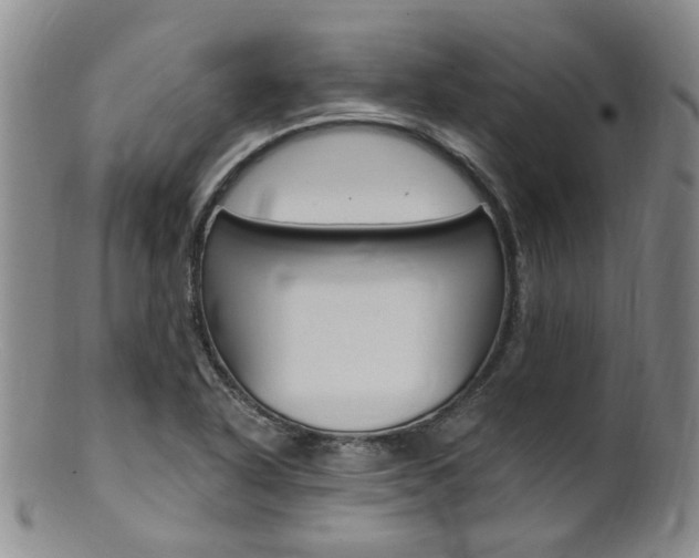X0000101651318200807100931
