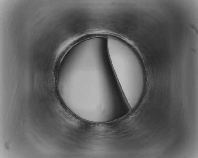 X0000101651319200807100931
