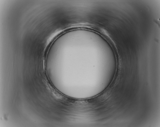 X0000101651320200807100931