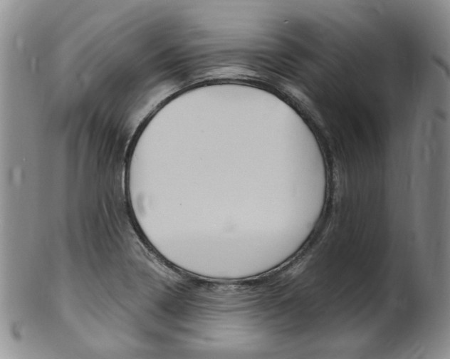 X0000101651322200807100931
