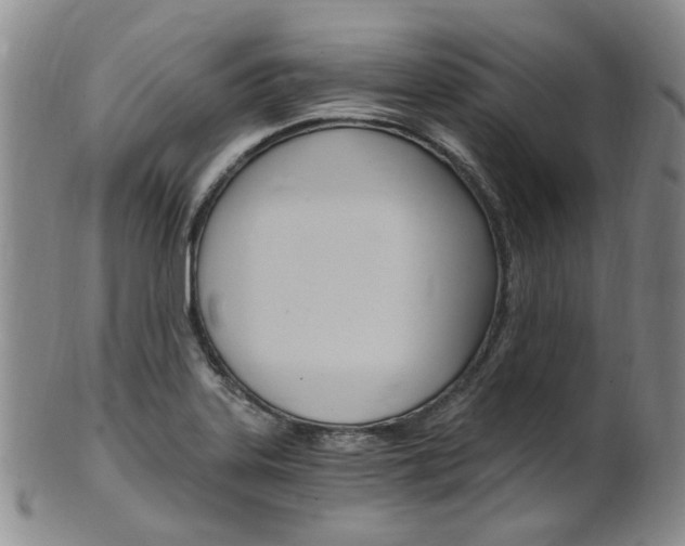 X0000101651323200807100931