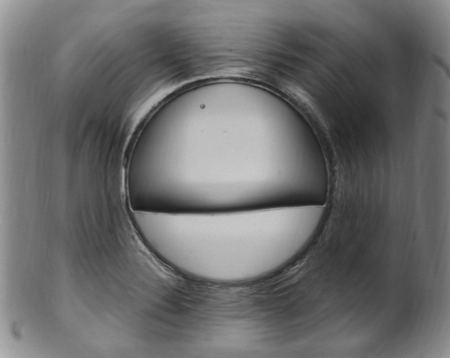 X0000101651324200807100931