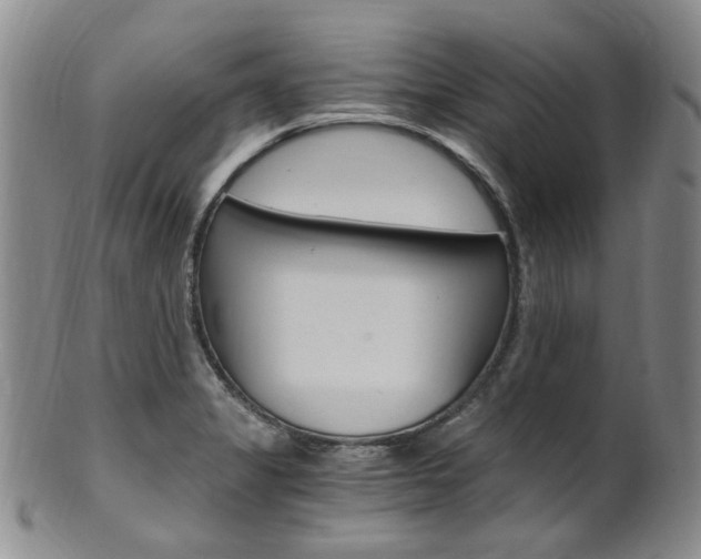 X0000101651325200807100931