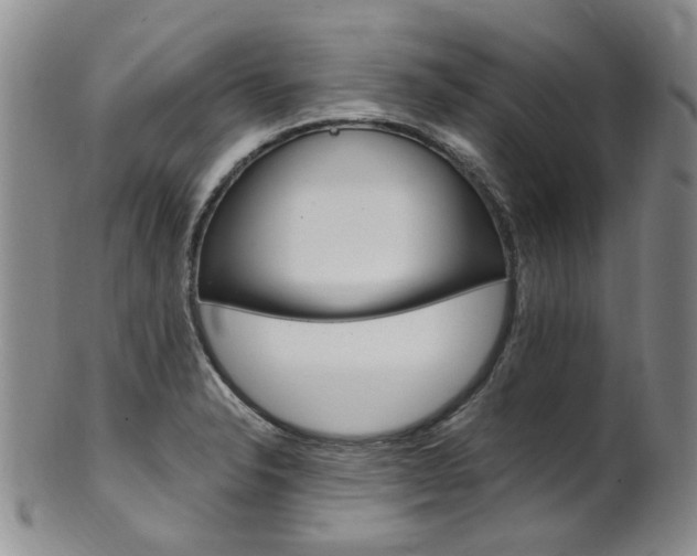 X0000101651326200807100931
