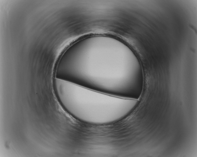 X0000101651327200807100931