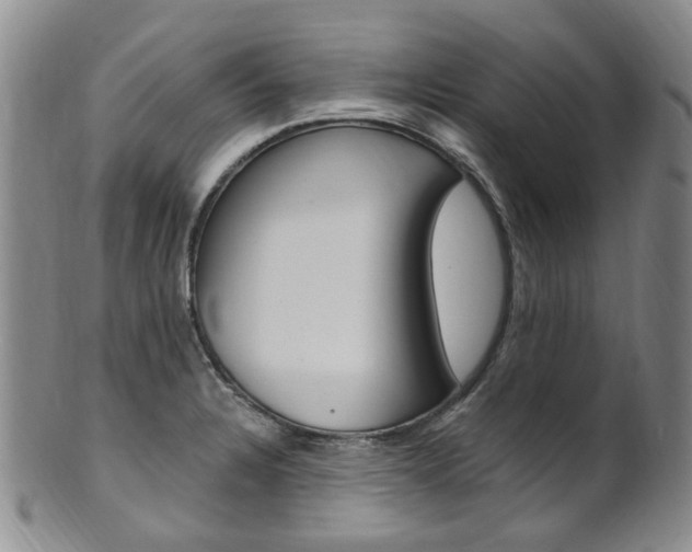 X0000101651328200807100931