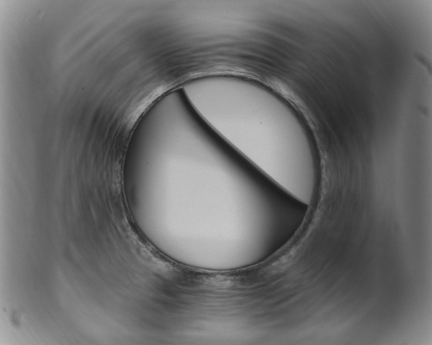 X0000101651329200807100931
