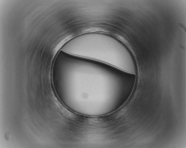 X0000101651330200807100931