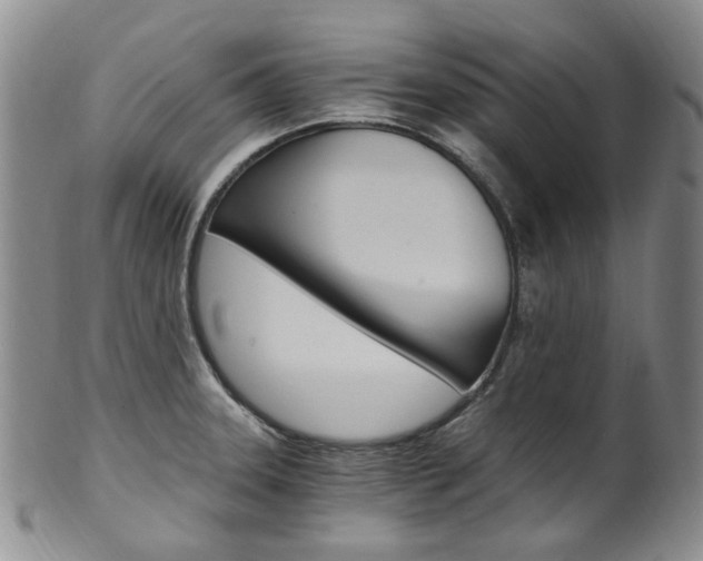 X0000101651331200807100931