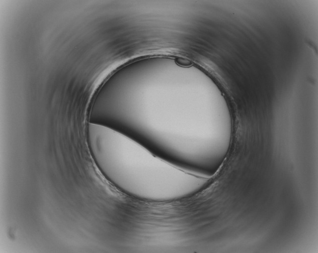 X0000101651332200807100931