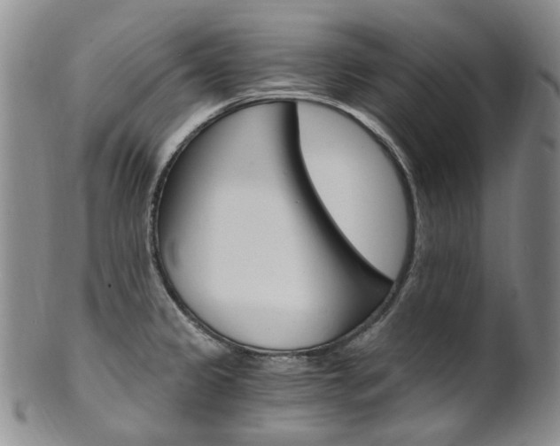 X0000101651333200807100931