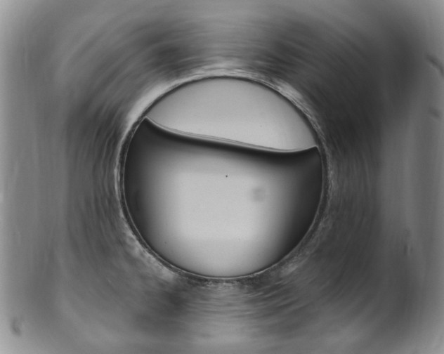 X0000101651334200807100931
