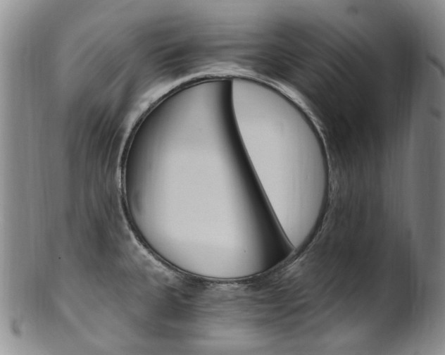 X0000101651335200807100931