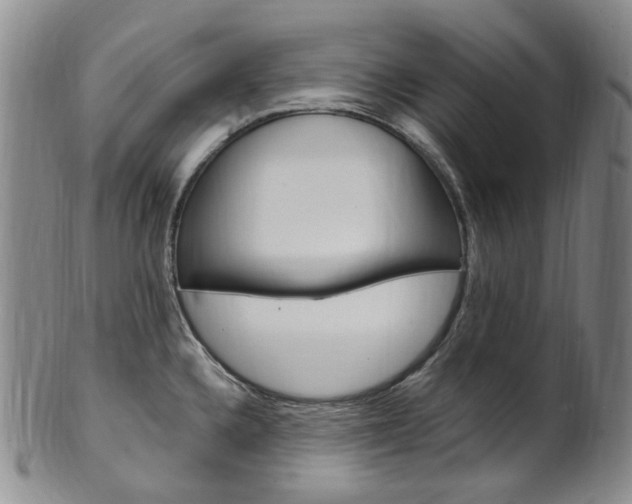 X0000101651336200807100931