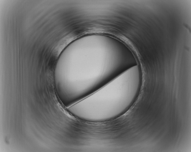 X0000101651337200807100931