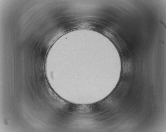 X0000101651338200807100931